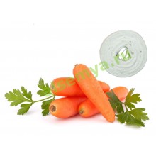Морковь на ленте