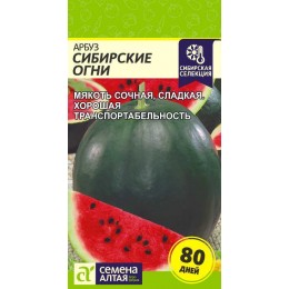 Арбуз Сибирские Огни/Сем Алт/цп 1 гр.р Сибирская Селекция!