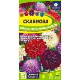 Цветы Скабиоза Темно-Пурпурная смесь/Сем Алт/цп 0,2 гр.