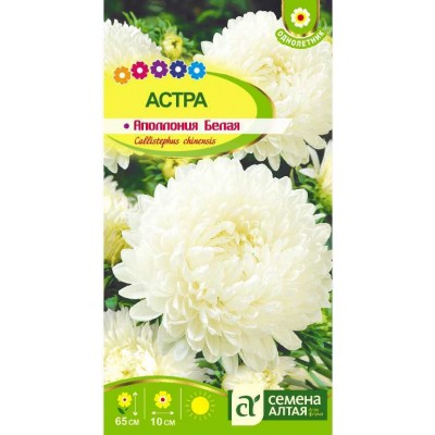 Цветы Астра Аполлония Белая/Сем Алт/цп 0,2 гр.