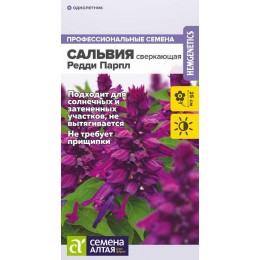 Цветы Сальвия Редди Парпл сверкающая/Сем Алт/цп 5 шт.