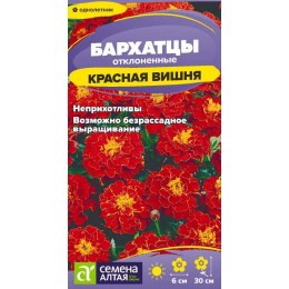 Цветы Бархатцы Красная Вишня/Сем Алт/цп 0,2 гр.