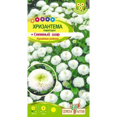 Цветы Хризантема Снежный шар пиретрум/Сем Алт/цп 0,01 гр.