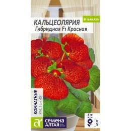 Цветы Кальцеолярия Красная гибридная/Сем Алт/цп 5 шт.