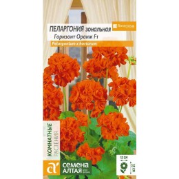 Цветы Пеларгония Горизонт Оранж зональная/Сем Алт/цп 4 шт.