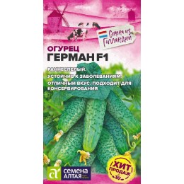 Огурец Герман F1/Сем Алт/цп 5 шт.р Seminis (Голландские Семена)