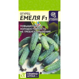 Огурец Емеля F1/Сем Алт/цп 5 шт.р