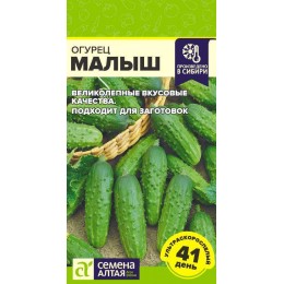 Огурец Малыш/Сем Алт/цп 0,3 гр.р