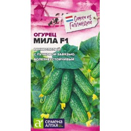 Огурец Мила F1/Сем Алт/цп 5 шт. Seminis (Голландские Семена)
