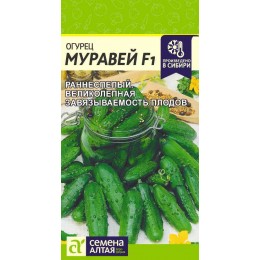 Огурец Муравей F1/Сем Алт/цп 5 шт.р
