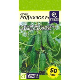 Огурец Родничок F1/Сем Алт/цп 0,3 гр.р