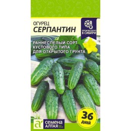 Огурец Серпантин/Сем Алт/цп 0,5 гр.р Сибирская Селекция!