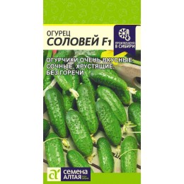 Огурец Соловей F1/Сем Алт/цп 0,3 гр.р