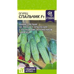 Огурец Спальчик F1/Сем Алт/цп 6 шт.