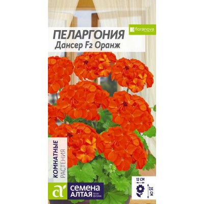 Цветы Пеларгония Дансер F2 Оранж зональная/Сем Алт/цп 4 шт.