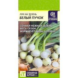 Лук на зелень Белый Пучок/Сем Алт/цп 0,3 гр.