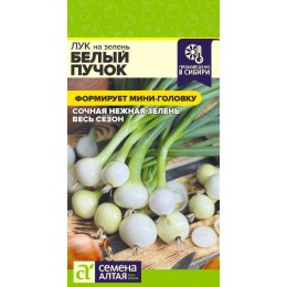Лук на зелень Белый Пучок/Сем Алт/цп 0,3 гр.