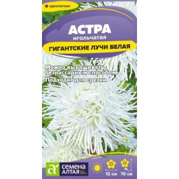 Цветы Астра Гигантские лучи Белая/Сем Алт/цп 0,2 гр.