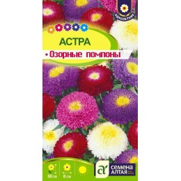Цветы Астра Озорные Помпоны/Сем Алт/цп 0,3 гр.