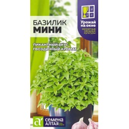 Зелень Базилик Мини/Сем Алт/цп 0,1 гр. УРОЖАЙ НА ОКНЕ!