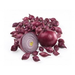 Лук-севок Ред Барон/ фракция 21-24 мм/ Голландия/ 1 кг