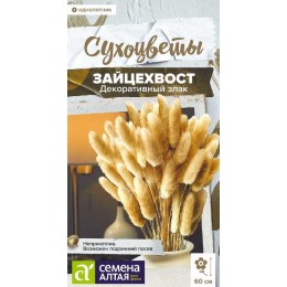 Цветы Зайцехвост злак декоративный/Сем Алт/цп 0,05 гр. Сухоцветы