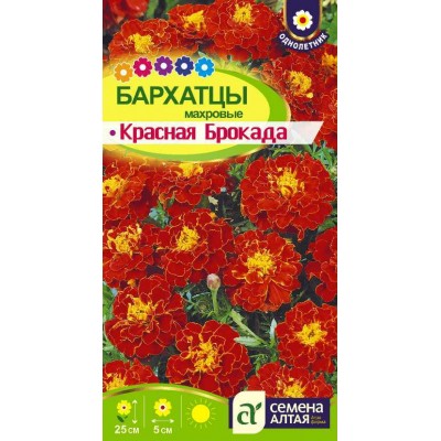 Цветы Бархатцы Красная Брокада махровые/Сем Алт/цп 0,3 гр.