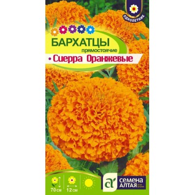 Цветы Бархатцы Сиерра Оранжевые/Сем Алт/цп 0,3 гр.
