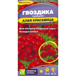 Цветы Гвоздика турецкая Алая красавица/Сем Алт/цп 0,2 гр. двулетник