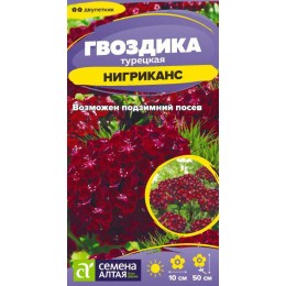 Цветы Гвоздика турецкая Нигриканс/Сем Алт/цп 0,1 гр. двулетник