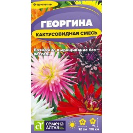 Цветы Георгина Кактусовидная смесь/Сем Алт/цп 0,1гр.