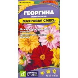 Цветы Георгина Махровая смесь окрасок/Сем Алт/цп 0,2 гр.