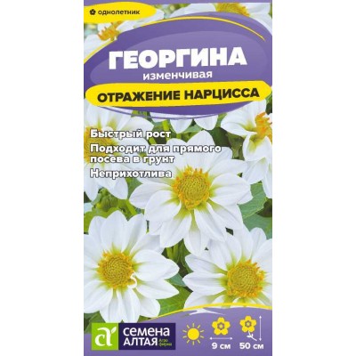 Цветы Георгина Отражение Нарцисса/Сем Алт/цп 0,2 гр.