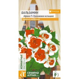 Цветы Бальзамин Афина Оранжевая вспышка/Сем Алт/цп 5 шт.