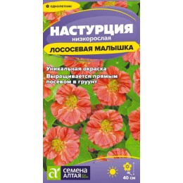 Цветы Настурция Лососевая малышка низкоросл./Сем Алт/цп 1 гр.