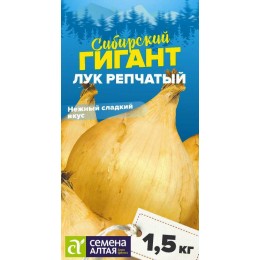 Лук Сибирский Гигант/Сем Алт/цп 0,2 гр. НОВИНКА! СЕРИЯ СИБИРСКИЕ ГИГАНТЫ!