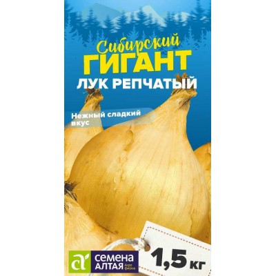 Лук Сибирский Гигант/Сем Алт/цп 0,2 гр. НОВИНКА! СЕРИЯ СИБИРСКИЕ ГИГАНТЫ! Лук Сибирский Гигант/Сем Алт/цп 0,2 гр. НОВИНКА! СЕРИЯ СИБИРСКИЕ ГИГАНТЫ!