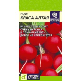 Редис Краса Алтая/Сем Алт/цп 2 гр.р Сибирская Селекция!