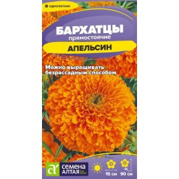Цветы Бархатцы Апельсин прямостоячие/Сем Алт/цп 0,2 гр.