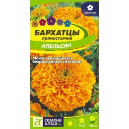 Цветы Бархатцы Апельсин прямостоячие/Сем Алт/цп 0,2 гр.