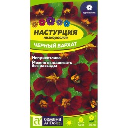 Цветы Настурция Черный бархат/Сем Алт/цп 0,5 гр.
