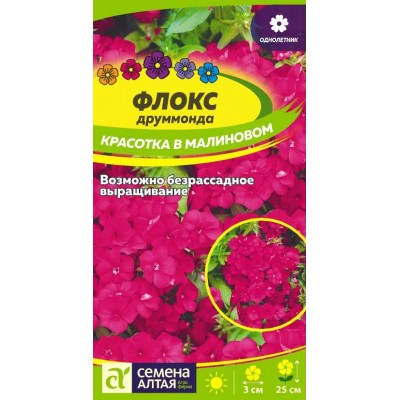 Цветы Флокс Красотка в малиновом Друммонда/Сем Алт/цп 0,1 гр.