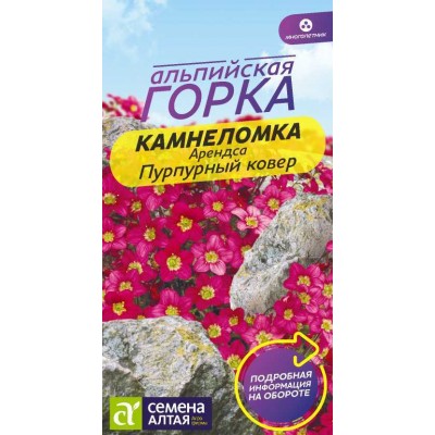 Цветы Камнеломка Пурпурный ковер Арендса/Сем Алт/цп 0,01 гр. многолетник Альпийская горка