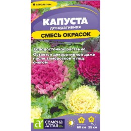 Цветы Капуста Декоративная Смесь окрасок/Сем Алт/цп 0,1 гр.