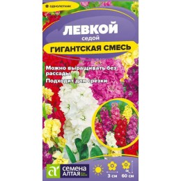 Цветы Левкой Гигантская Смесь окрасок/Сем Алт/цп 0,2 гр.