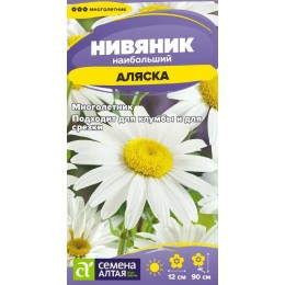 Цветы Нивяник Аляска/Сем Алт/цп 0,1 гр. многолетник