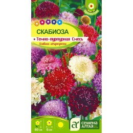 Цветы Скабиоза Темно-Пурпурная смесь/Сем Алт/цп 0,3 гр.