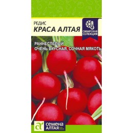 Редис Краса Алтая/Сем Алт/цп 1 гр. Сибирская Селекция!