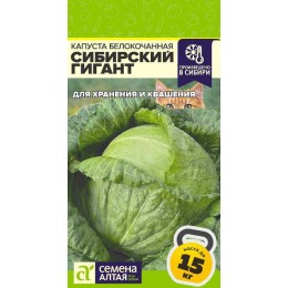 Капуста Сибирский Гигант/Сем Алт/цп 0,3 гр. СЕРИЯ СИБИРСКИЕ ГИГАНТЫ!