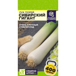Лук Порей Сибирский Гигант/Сем Алт/цп 0,5 гр. СЕРИЯ СИБИРСКИЕ ГИГАНТЫ!